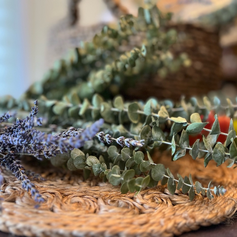 Real dry eucalyptus branches. Eucalyptus For Shower, vase flowers.